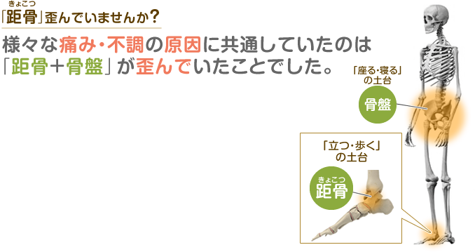 距骨調整で外反母趾の痛みを改善、カタチを平均30％迄回復に導きます